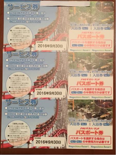 ナガシマスパーランドパスポート3枚セット