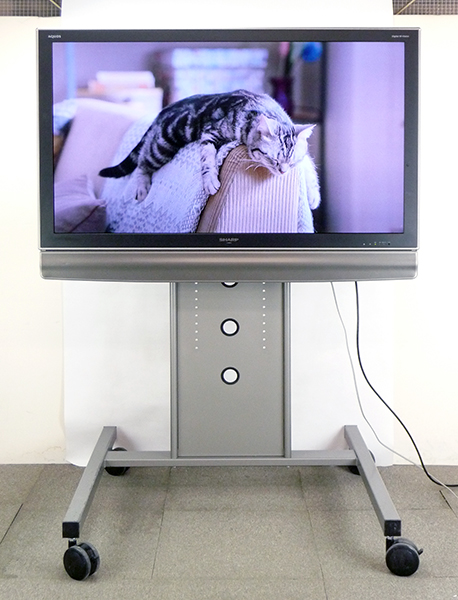 SHARP LC-52GX5 52インチ液晶テレビ SHARP 液晶カラーテレビ AQUOS 52型 LC-52GX5 AQUOS LC-52GX5 [52