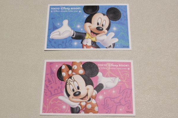 送料無料 ディズニースポンサーパスポート チケット2枚 混雑可