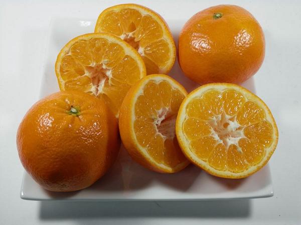 訳あり] B品カリフォルニア産 ネーブルオレンジ 72～80入☆ 低価