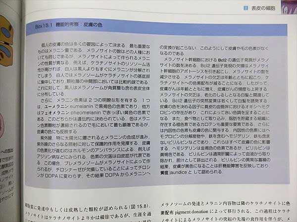 GK18-030 南江堂 組織学 原書第5版 2012 Ross Pawlina