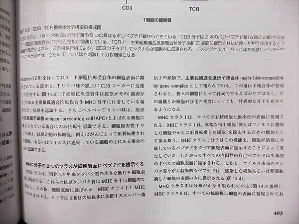 GK18-030 南江堂 組織学 原書第5版 2012 Ross Pawlina