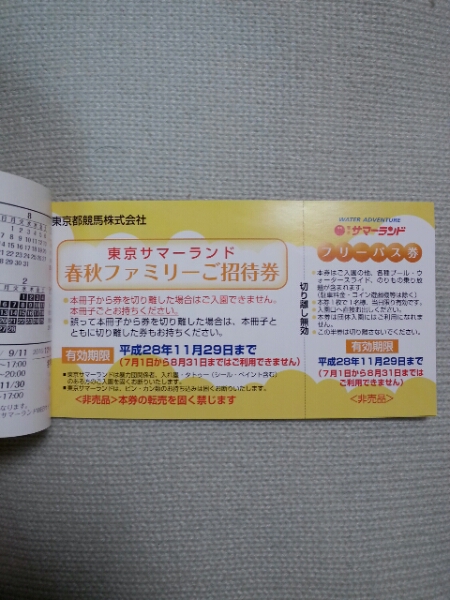 送料無料☆東京サマーランド株主招待 株主優待 フリーパス券10枚