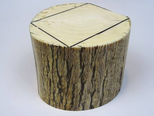 【天然本象牙彫刻用】!!特大!!象牙材料 ルース 815g◆美術品根付