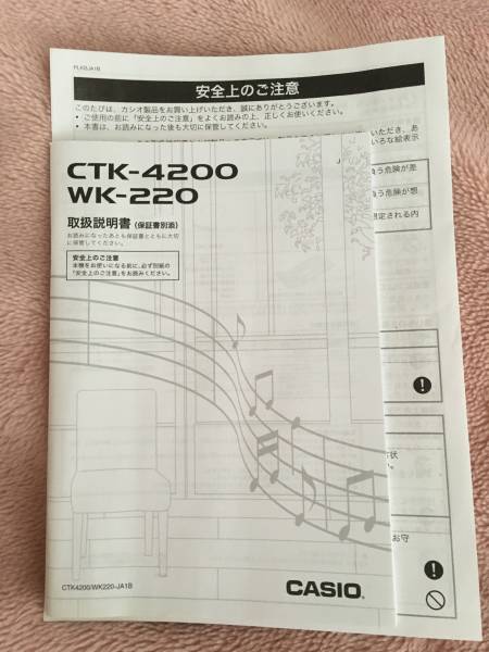 CASIO カシオ ベーシックキーボード WK-220 76鍵盤 中古美品