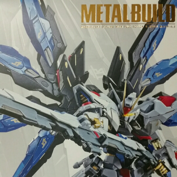 メタルビルド ストライクフリーダム デスティニー 光の翼セット BUILD