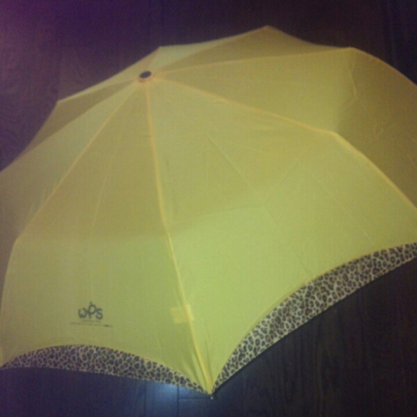 チャングンソク★レオパート柄傘