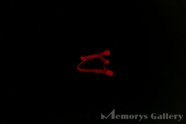 【雅表千家】六代川端近左 独楽塗ロクロ目食籠 而妙斎 共箱 共布