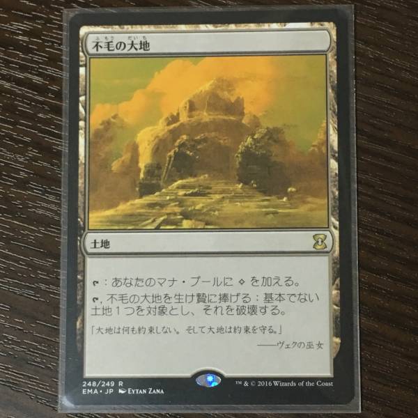 不毛の大地 日本語版 レア EMA MTG 不毛の大地/Wasteland 日本語版1枚迄 EMA