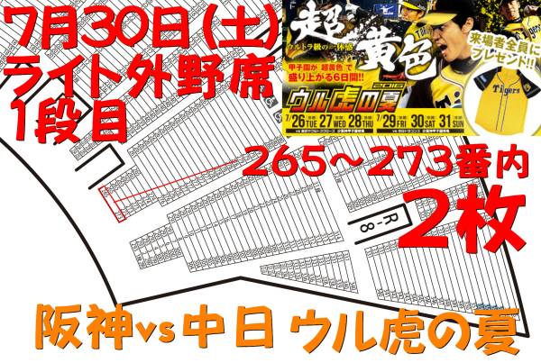 【最前列-1段目】7/30 阪神-中日 ライト外野 2枚(連番) 送料無料
