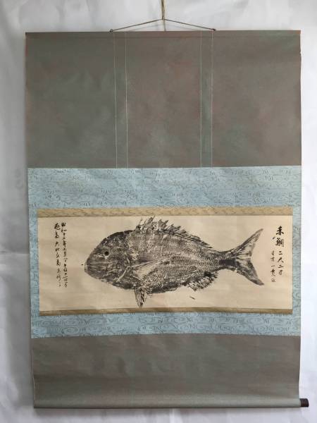 魚拓.赤鯛 (掛軸).