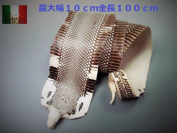 蛇革 本物 コブラ コブラの通販 &frasl;中間色88 A 「１点限定」スネーク 蛇皮 蛇革 本物 コブラ 頭付き一匹 /94-4 レザークラフト かなりでかいやつです！