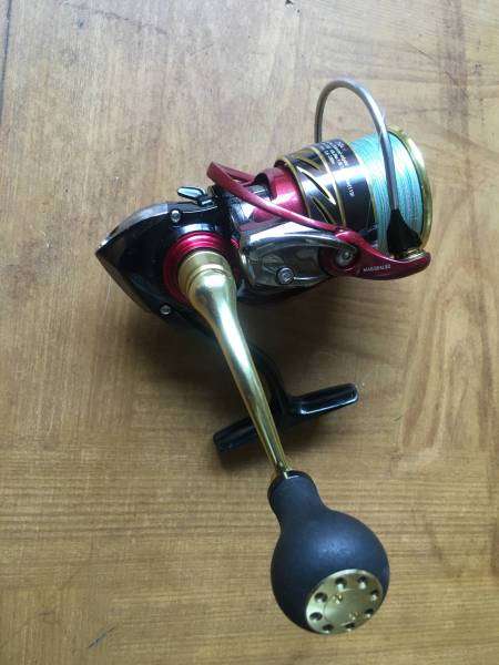 月下美人2504H　ゴールド　メバリングモデル