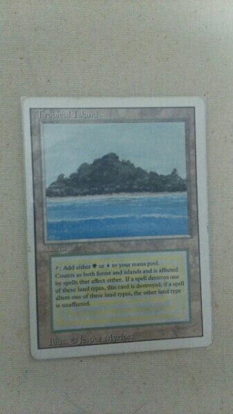 【MTG】英/REV/tropical island
