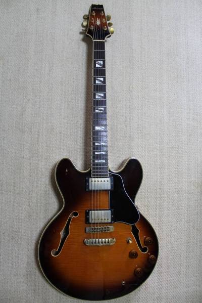 セール Aria Pro Ⅱ TA-DLX セミアコ ソフトケース付き(アリア)｜売買されたオークション情報、yahooの商品情報をアーカイブ公開 - オークファン 本体