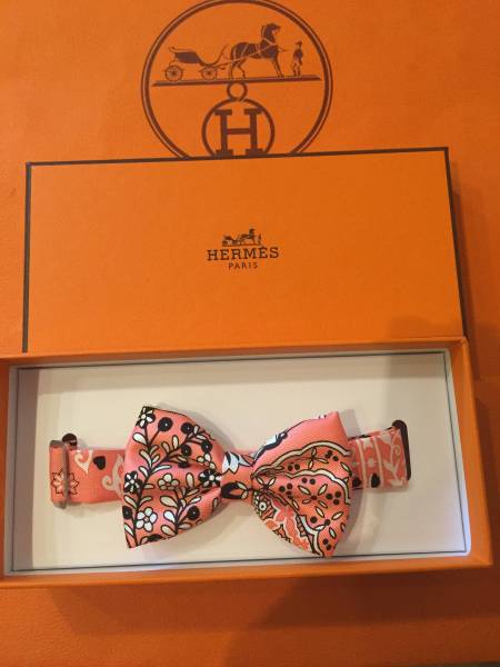 HERMES パピヨン　新品未使用　シルク蝶ネクタイ　ペイズリー柄