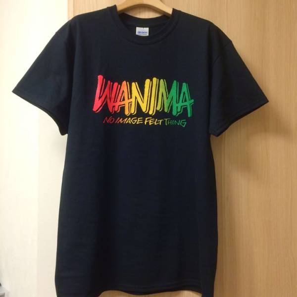 wanima Tシャツ 黒 Mサイズ pizza of death 新品未使用