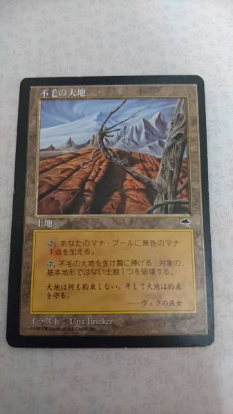 美品】不毛の大地 日本語 2枚セット MTG 初版 MTG 不毛の大地