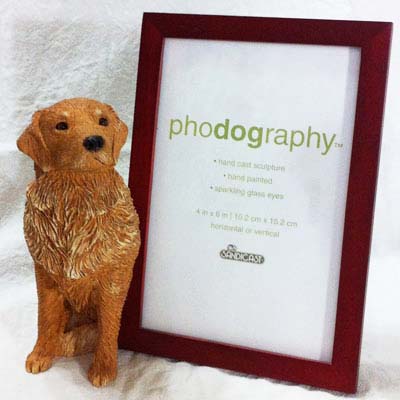 廃番レア ゴールデンレトリバー 写真たて サンディキャスト