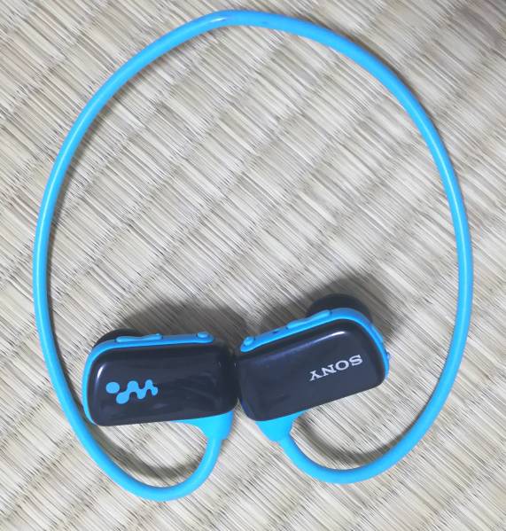 中古ウォークマン】WALKMAN NWD-W273 デジタルオーディオプレーヤー