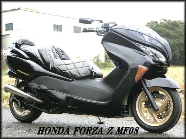☆フォルツァ Z MF08 後期モデル 人気のブラック カスタム多数☆