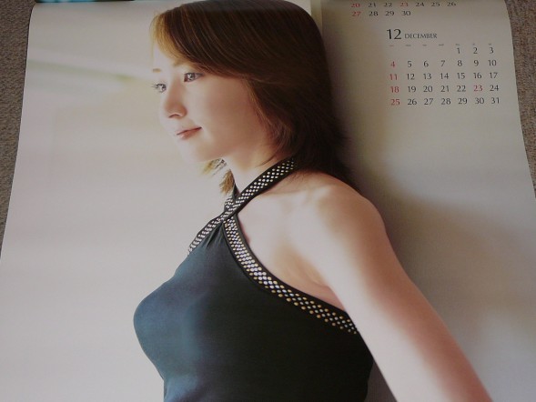 矢田亜希子 2005年カレンダー 品の入札履歴 - 入札者の順位