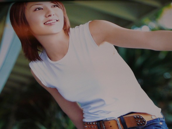 矢田亜希子 2005年カレンダー 品の入札履歴 - 入札者の順位