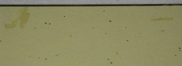 非売品　ハイキュー　販促　複製サイン色紙　日向　影山　レア