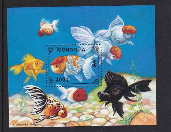 23　モンゴルの切手　1995年　金魚　小型シート　未使用_1
