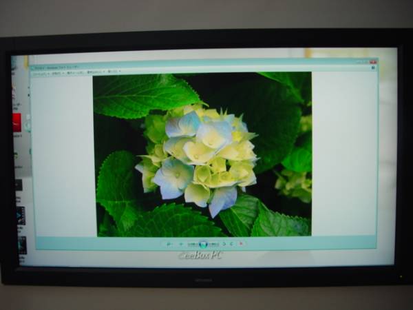 三菱の42型液晶ディスプレイ LDT421V2