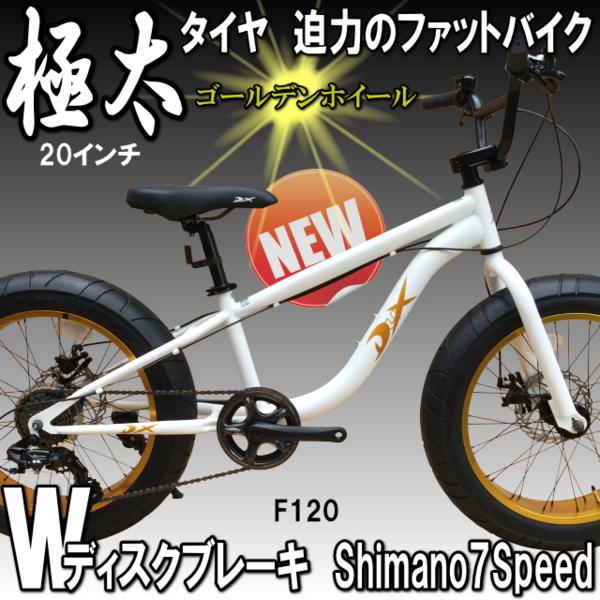 【1円】極太タイヤ FATBIKE ファットバイク Wディスク 白