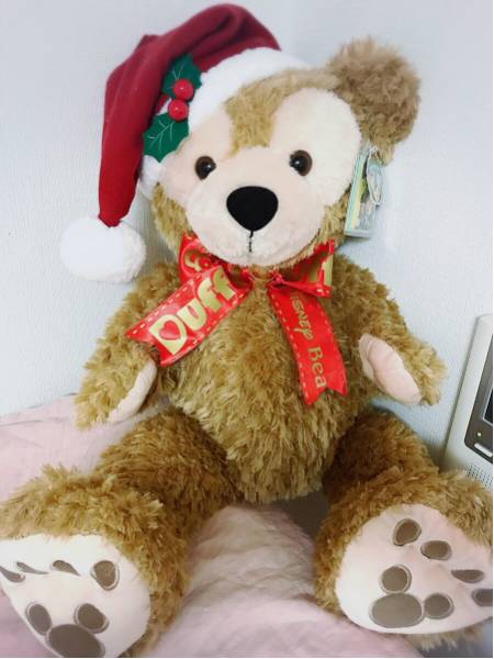 クリスマスダッフィー お顔厳選 ディズニーシーに行った際に 【公式通販】
