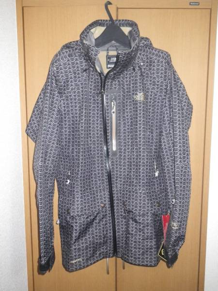 国内未発売　North Face ノースフェイス ゴアテックス サイズL