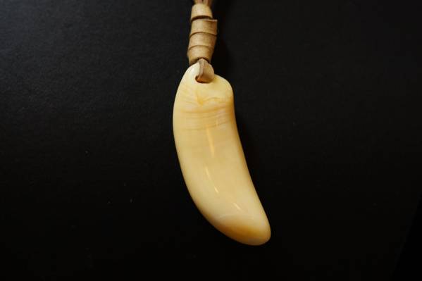  マッコウクジラの小さな牙 オシャレ(その他)｜売買されたオークション情報、yahooの商品情報をアーカイブ公開 - オークファン その他