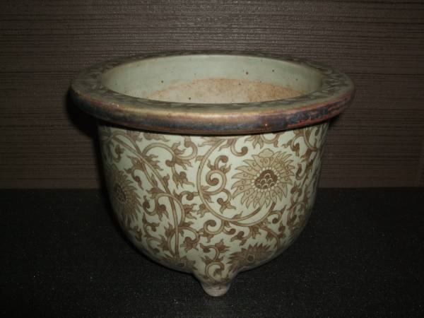 瀬戸焼 [青磁釉草花文 外縁丸] 18.6cm 蘭鉢・万年青