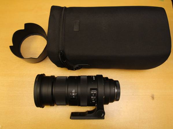 SIGMA APO 50-500mm F4.5-6.3 DG OS HSM キャノンマウント SIGMA APO 50-500mm F4.5-6.3 DG OS HSM キャノンマウント