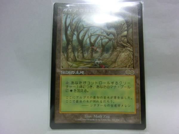 MTG ガイアの揺籃の地 Cradle Gaea's マジックザギャザリング 日本語版