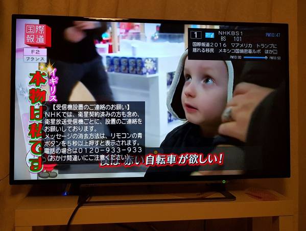 43G20X REGZA 東芝 TOSHIBA 液晶テレビ - レグザ 公式通販