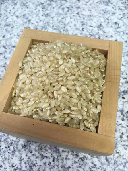 ラスト ２７年度　京都産　キヌヒカリ　玄米　29kg　検）30kg a