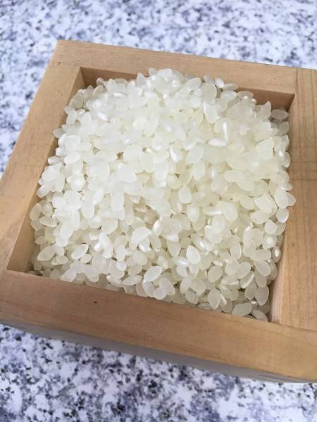 ラスト 27年度 京都産 キヌヒカリ 玄米 29kg 検）30kg a 令和7年
