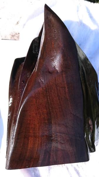 s525864672.1