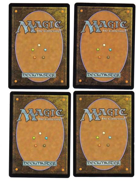 mtg 霧深い雨林 4枚セット 【公式通販】