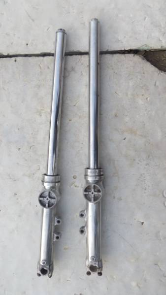 k263209487.3