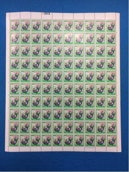247490843.1
