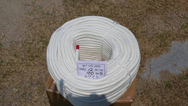 k272807769.1