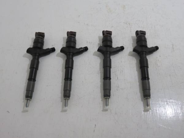 m229305644.1