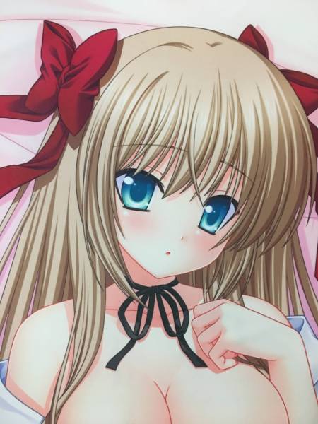 抱き枕 迷い猫オーバーラン 芹沢文乃 アーガイル 魔法のかんづめ 抱き枕 売買されたオークション情報 Yahooの商品情報をアーカイブ公開 オークファン Aucfan Com