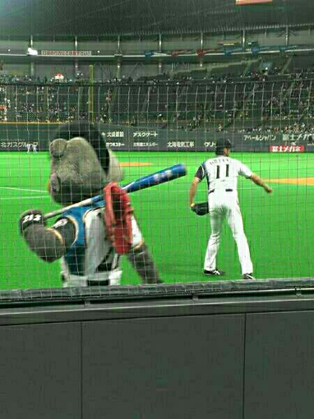 日本ハム vs 楽天 4/29 (土) 札幌ドーム 3塁側 フィールドシート ペア 来場者全員 ユニフォームプレゼントデー