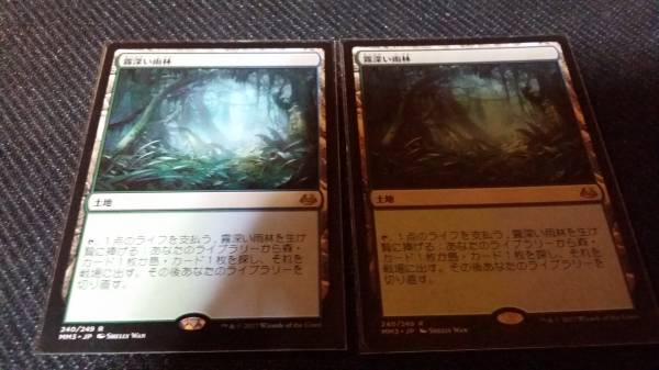 MTG Rainforest Misty 他にも多数出品 霧深い雨林 foil 旧枠 カード状態
