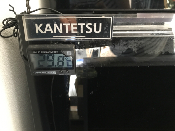 x512916392.4